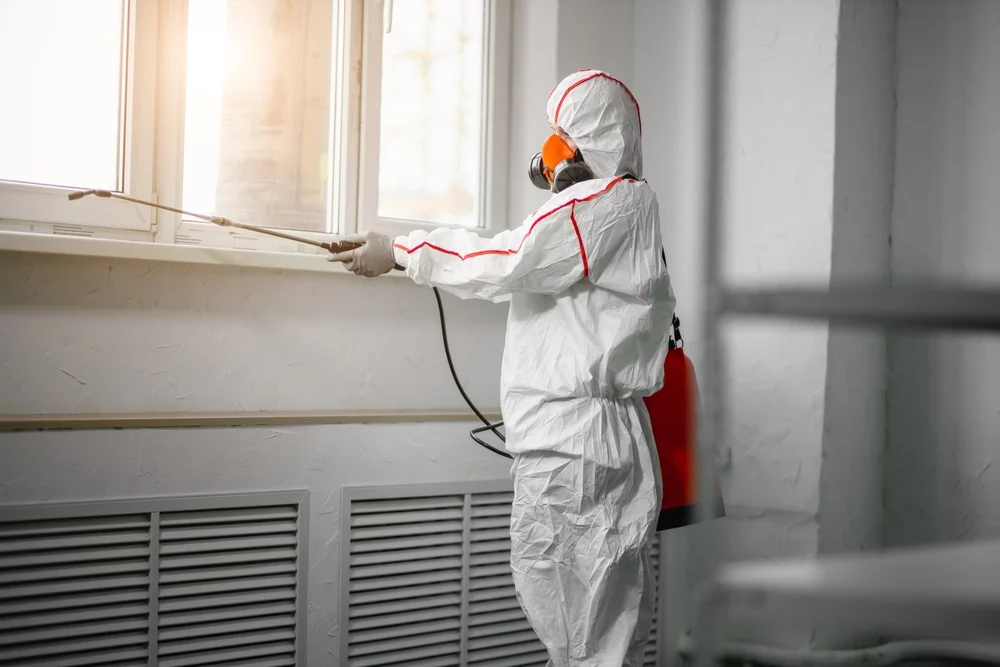 Professional mold remediation services in Keller, TX